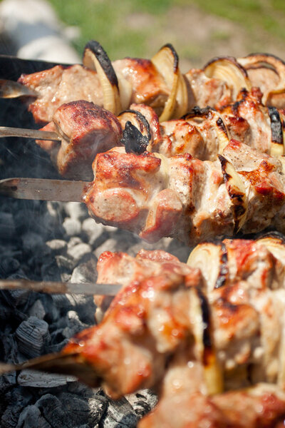 Мясо шашлык на барбекю вблизи
