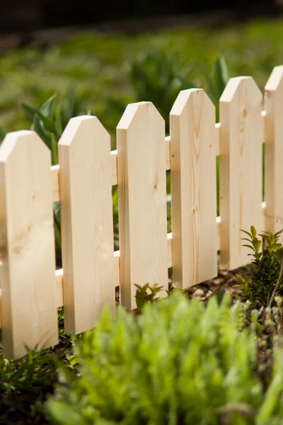 Detail van een houten picket tuin hek met groen gras op de achtergrond. daglicht — Stockfoto
