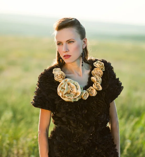 Beautiful young woman in a gorgeous dress — Stock Photo, Image