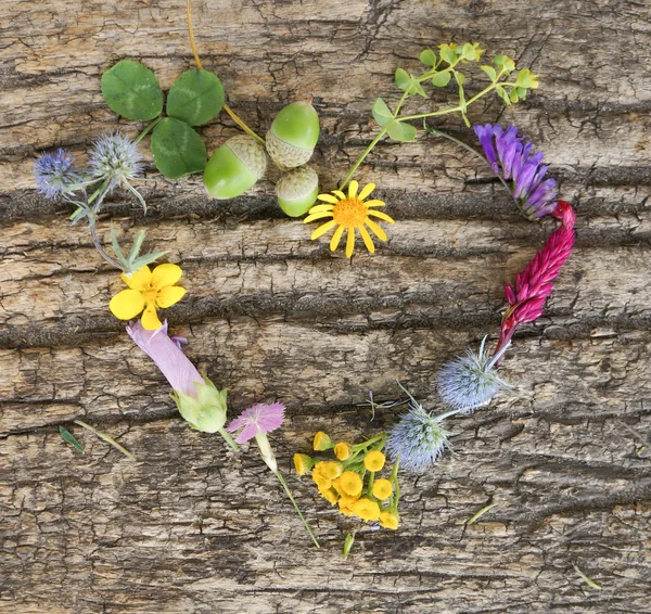 夏の花で作られたハート形 — ストック写真