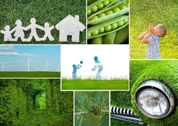 Eco friendly — Stock Photo, Image