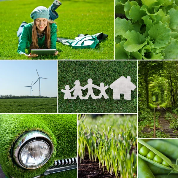 Eco friendly — Stock Photo, Image