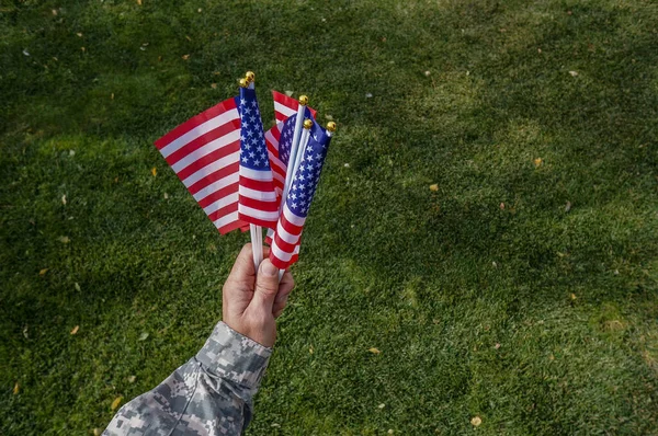American soldier holding flags in his hand at the celebration over green grass in the park