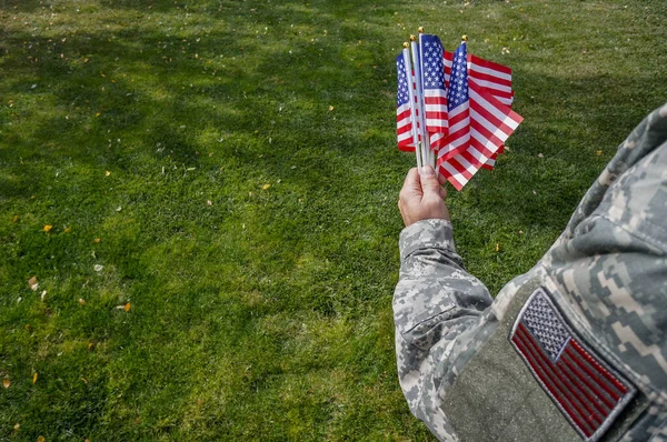 American soldier holding flags in his hand at the celebration over green grass in the park