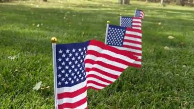 Rüzgarda dalgalanan Amerikan bayrakları Bir kutlamada yeşil bir çimenlikte