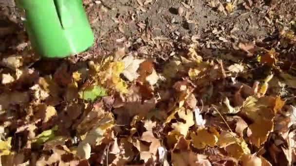 这个城市的工人带着工业真空吸尘器 每分钟收集数千片树叶 — 图库视频影像