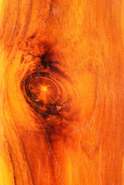 Primer plano sobre fondo de textura de madera real — Foto de Stock
