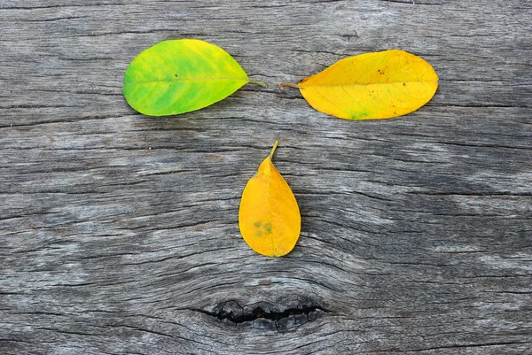 Wood face Namo — Stock Photo, Image