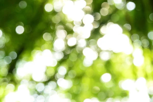 bokeh ışık