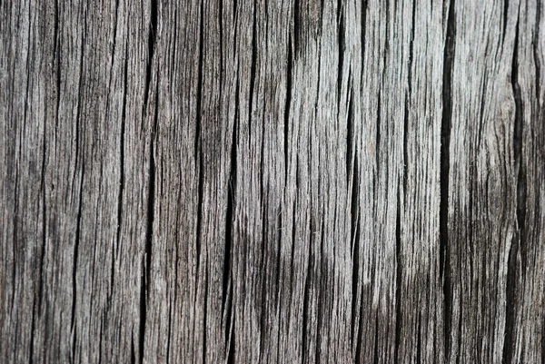 La textura de madera vieja —  Fotos de Stock