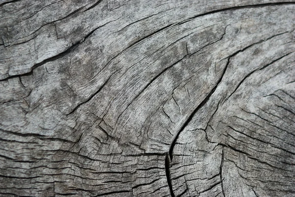 Textura de madera vieja — Foto de Stock