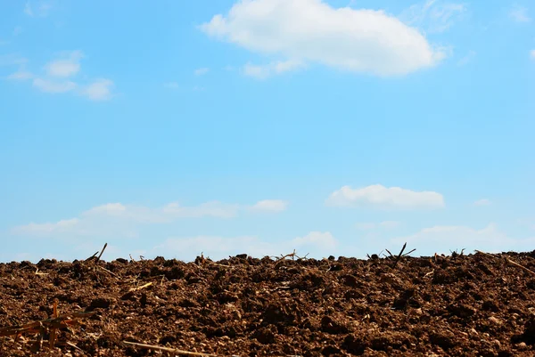 Soil and sky — Stock Photo, Image