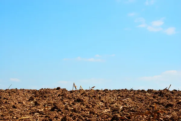 Terres de plantation — Photo