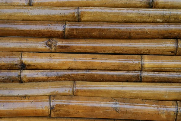 Parede de bambu — Fotografia de Stock