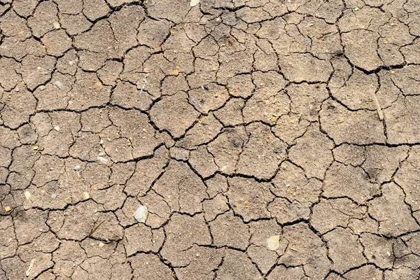 Tierra agrietada — Foto de Stock