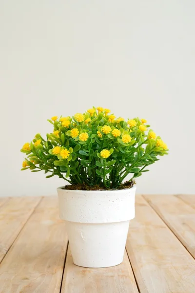 Yellow flower — Stock Photo, Image