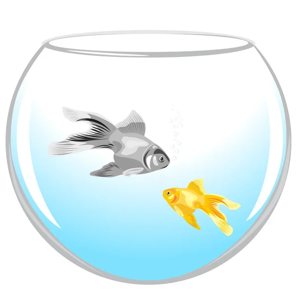 Peces en un acuario — Vector de stock