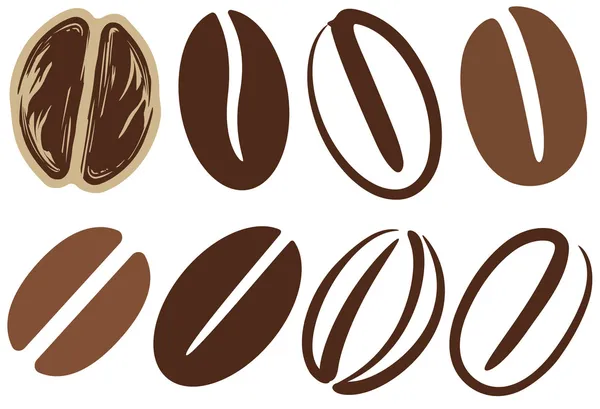 Coffee beans — Stock Vector