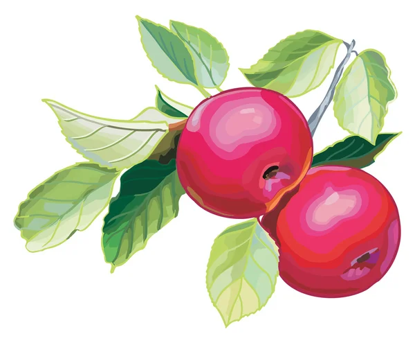 Pomme rouge avec feuille — Image vectorielle