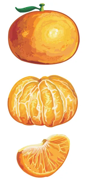 taze mandalina set