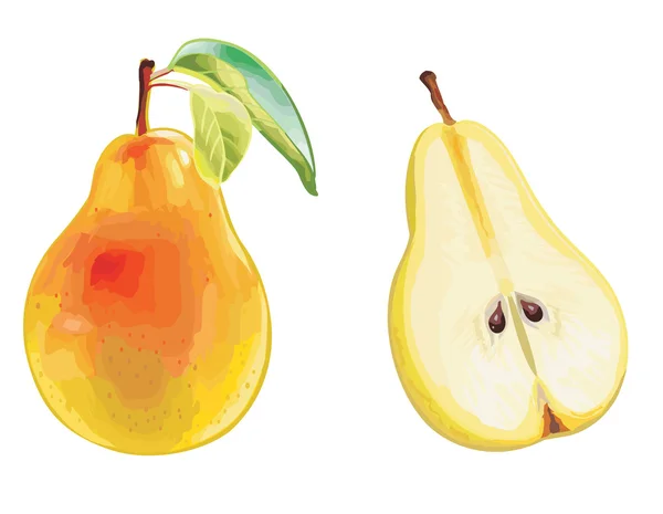 PEAR set — Stockvector