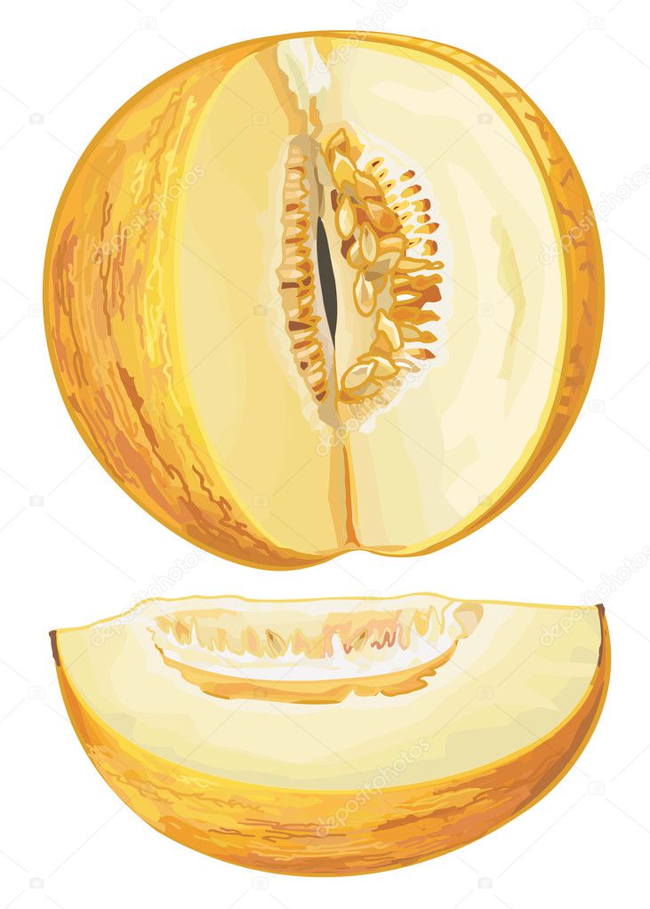 yellow melon