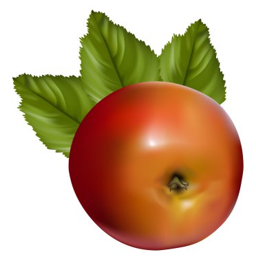 kırmızı elma