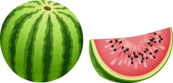 Wassermelone — Stockvektor