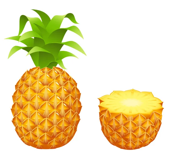 Ananas — Stockvektor