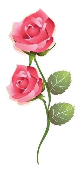 精美矢量玫瑰 — 图库矢量图片