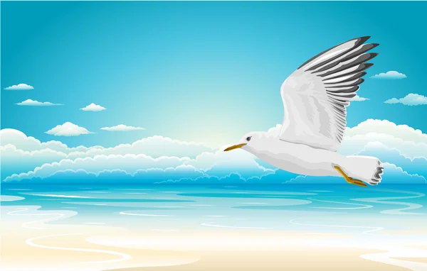 Gaviota voladora en la playa — Vector de stock