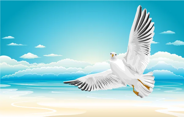Flying seagull on Beach — Stock Vector