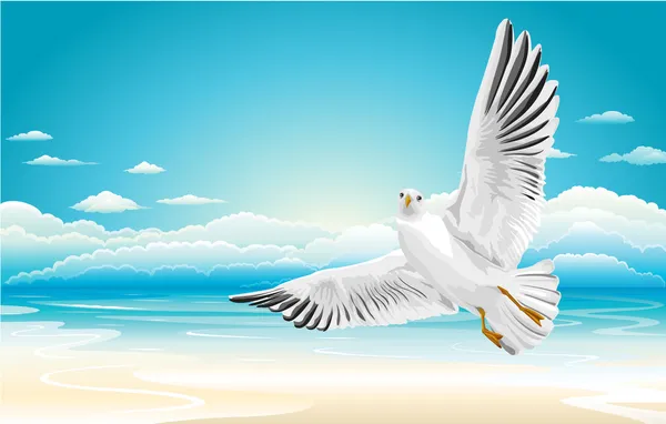 plajda uçan martı