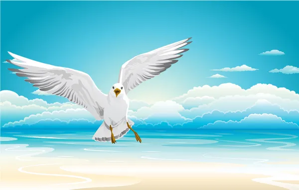 Flying seagull on Beach — Stock Vector