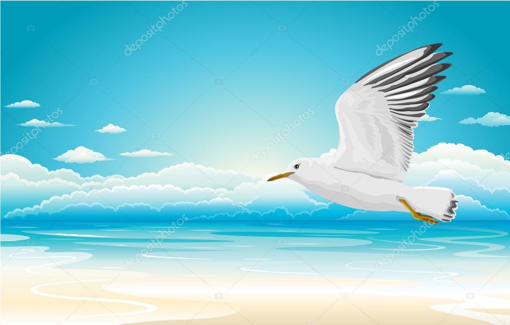 Flying seagull on Beach