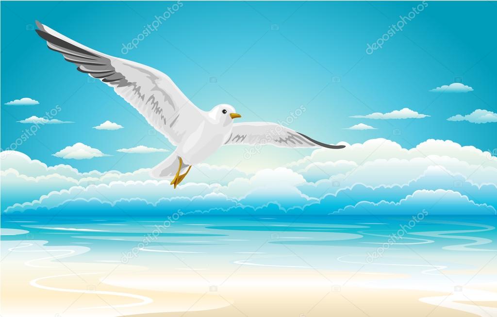 Flying seagull on Beach