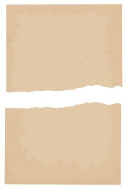 metin veya resim alanı olan eski kağıt sayfası