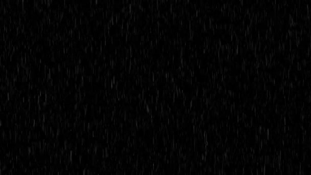 4k Loop Rain Drops Falling Alpha, Real Rain. Vysoká kvalita. — Stock video