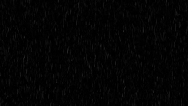 4k Loop Rain Drops Falling Alpha, Real Rain. Alta qualidade. — Vídeo de Stock