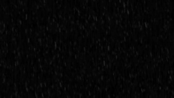 4k Boucle Pluie Gouttes Falling Alpha, Real Rain. Haute qualité.