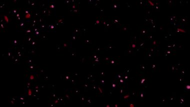 Gül yaprakları dökülüyor, 4k hisse senedi hareket grafikleri