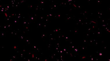 Siyah ve yeşil arkaplan ile düşen gül yaprakları