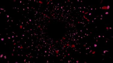 Gül yaprakları animasyonu Siyah ve yeşil ekran