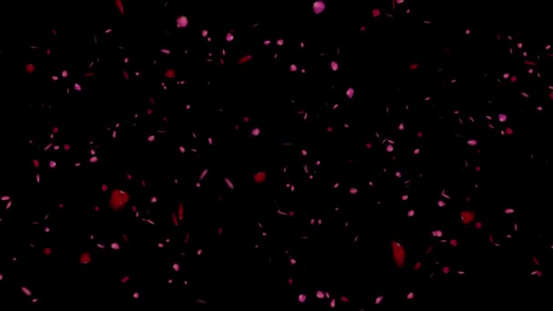 Petali di rosa e rosso cadenti. Valentine animazione 4k al rallentatore — Video Stock