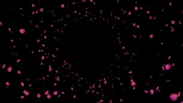 Animación pétalos de rosa con pantalla negra y verde — Vídeo de stock