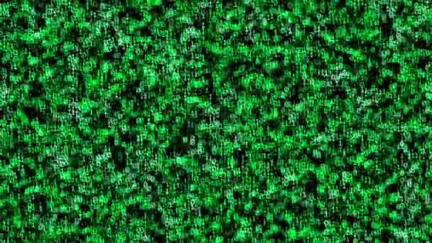 Computer Binary Random Green Background Binary Numbers Changing Randomly Animated — Stock Video