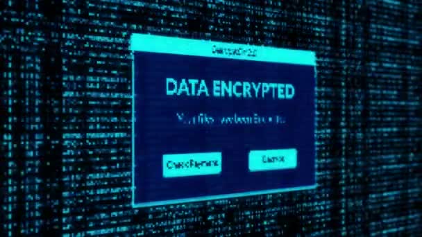 Data Encrypted Notification Check Payment Decrypt System Files Concept Binary — Vídeos de Stock