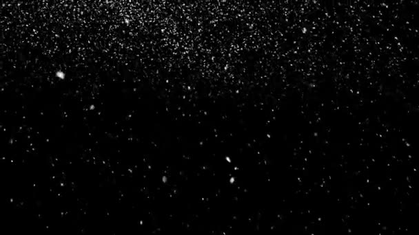 Schneefall Overlay Schwarzer Hintergrund Winter Langsam Fallender Schnee Effekt Grüner — Stockvideo