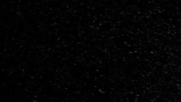 High Quality Motion Animation Representing Snow Falling Black Background Snowing — Stockvideo