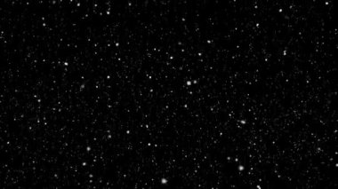 Christmas snow falling over black and green screen background.